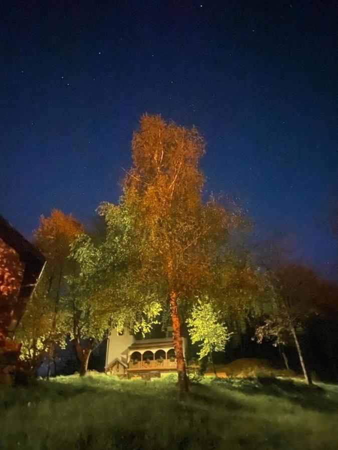 Kuca Za Odmor ,,Balkan” Crni Vrh Exterior photo