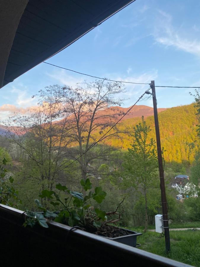 Kuca Za Odmor ,,Balkan” Crni Vrh Exterior photo