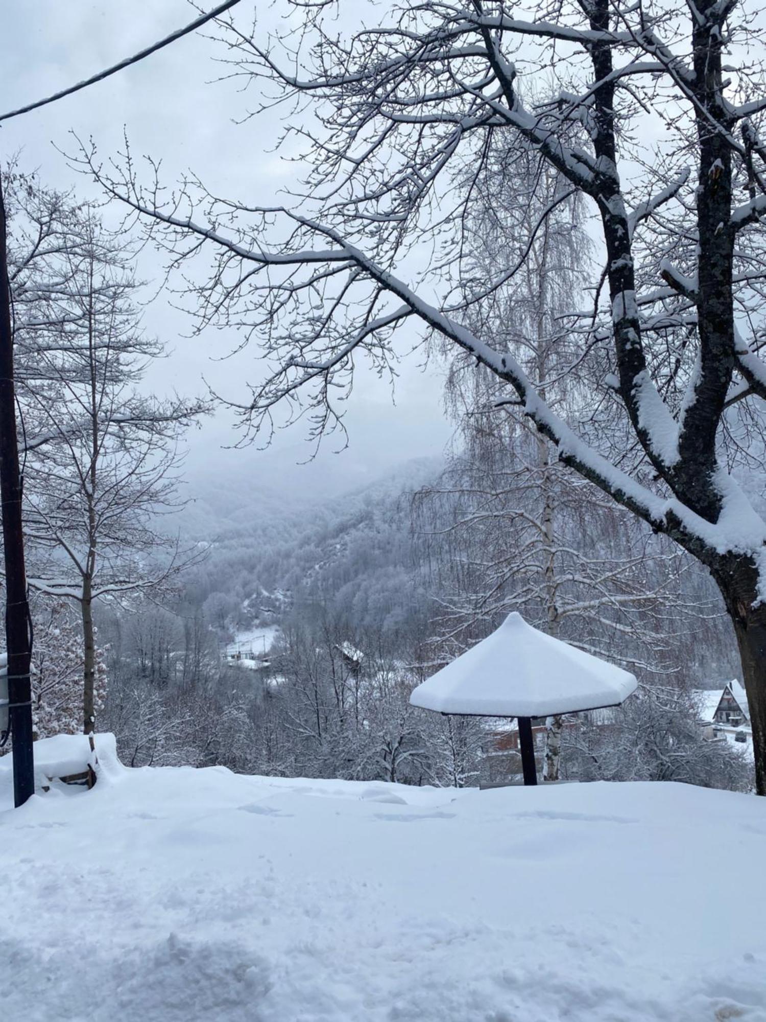 Kuca Za Odmor ,,Balkan” Crni Vrh Exterior photo