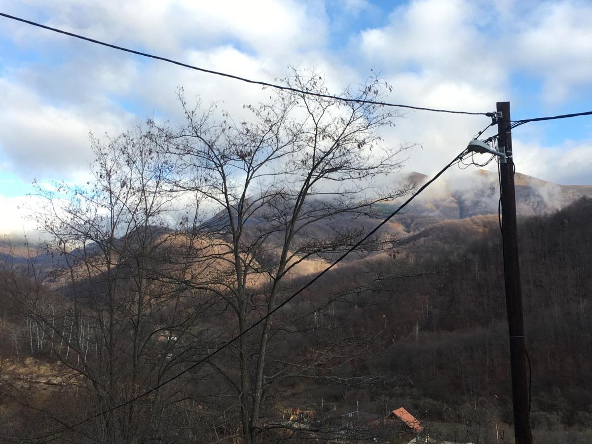 Kuca Za Odmor ,,Balkan” Crni Vrh Exterior photo
