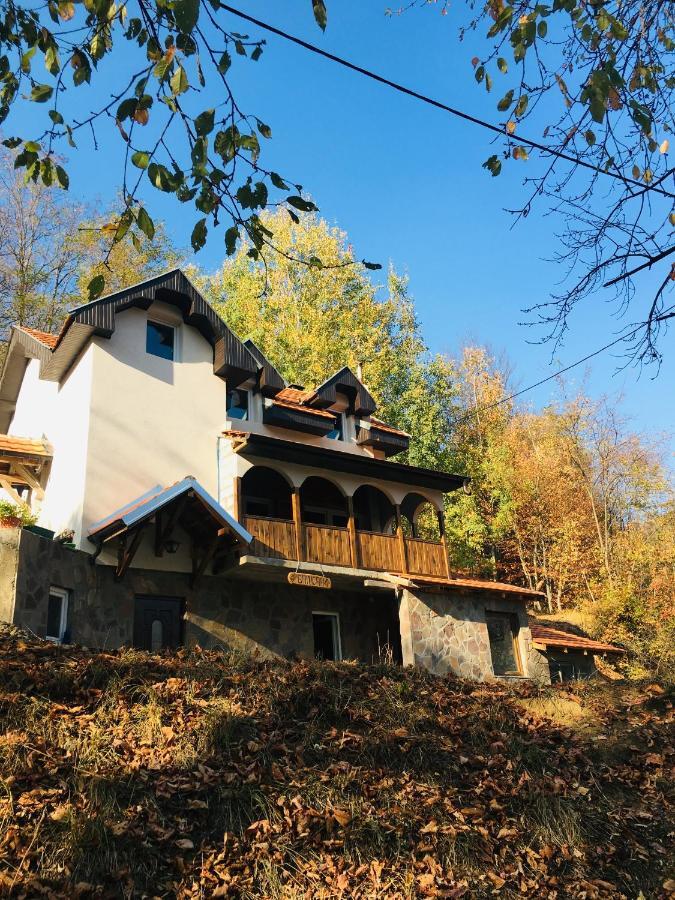 Kuca Za Odmor ,,Balkan” Crni Vrh Exterior photo